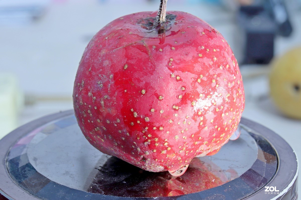 小白初次试拍。近摄接圈的应用，老师们多多指教