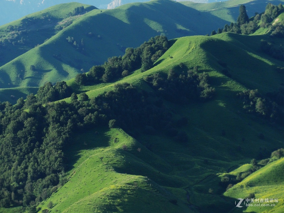 南北疆风光----宾得长焦机（二）