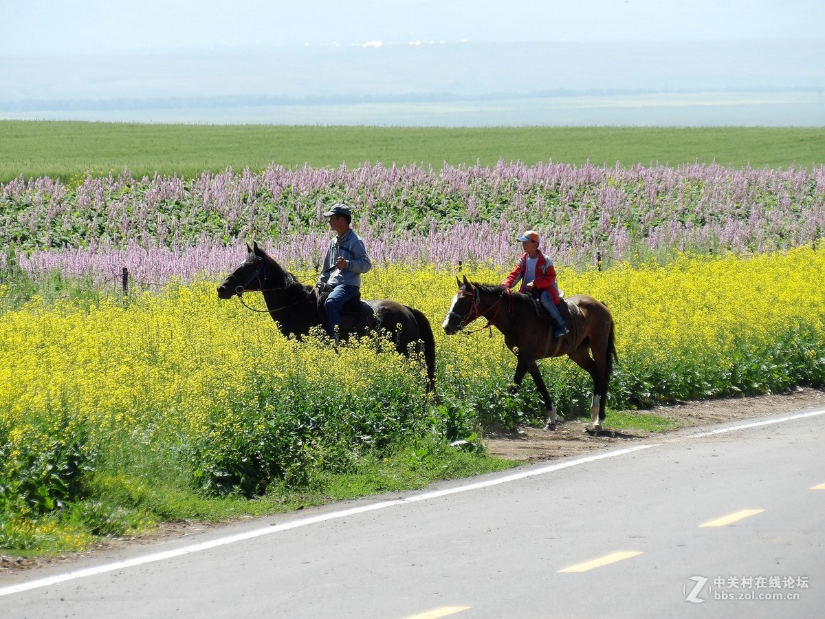 南北疆风光----宾得长焦机（一）
