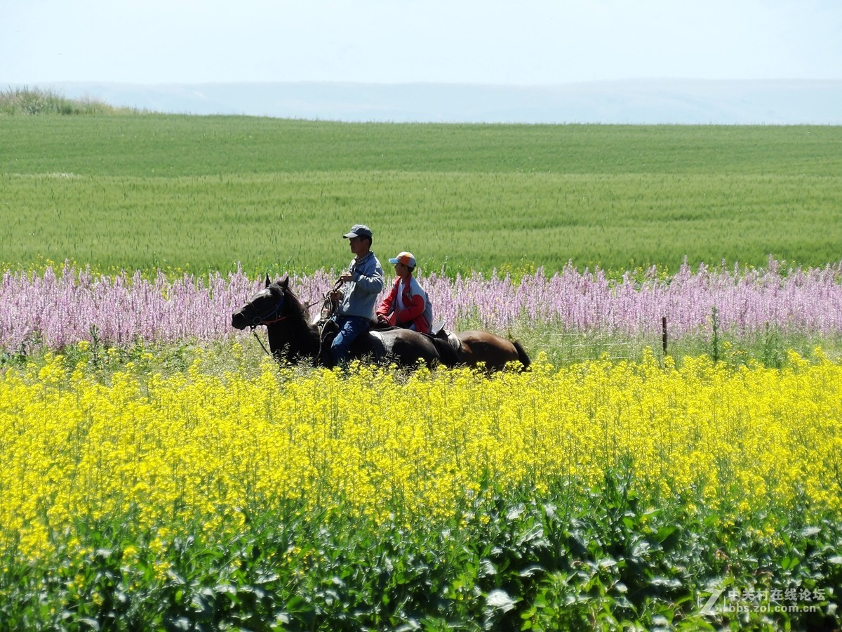 南北疆风光----宾得长焦机（一）