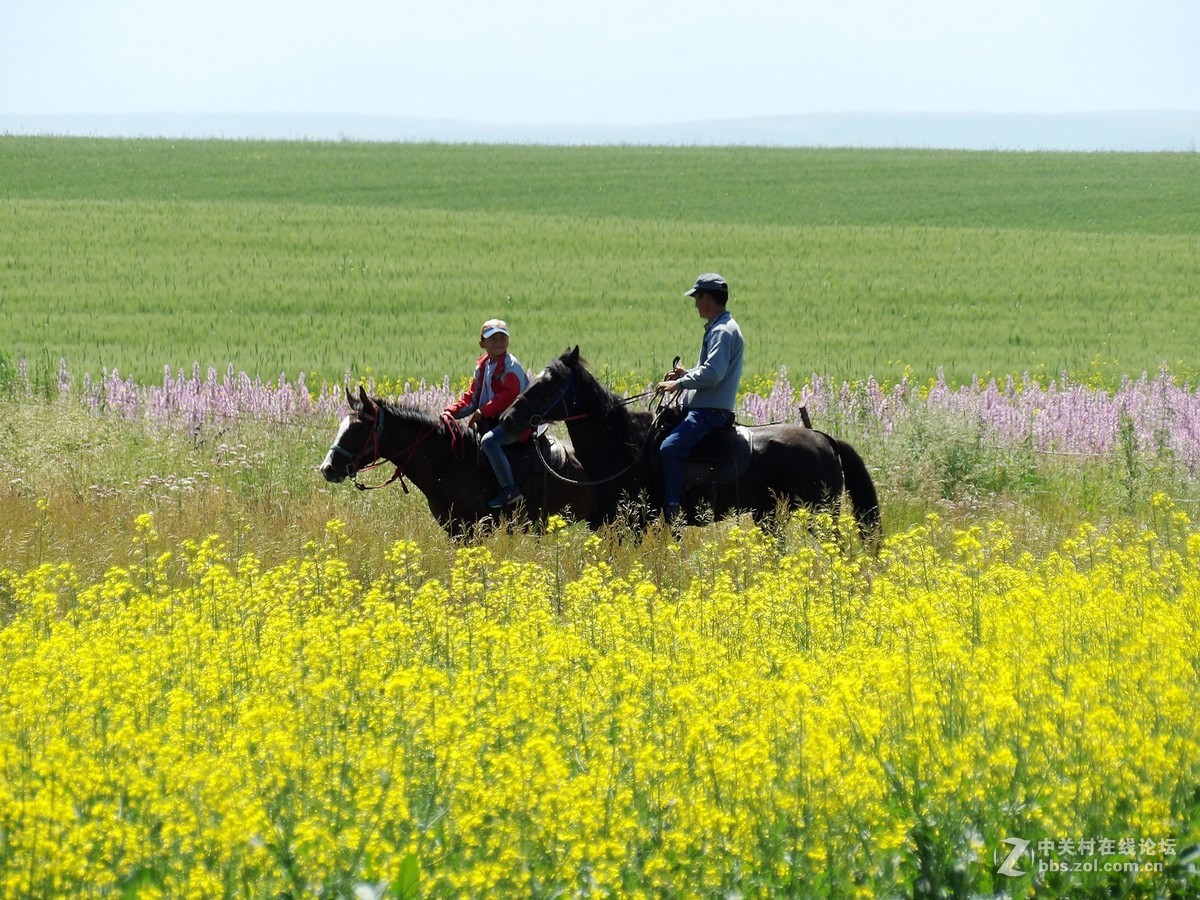 南北疆风光----宾得长焦机（一）