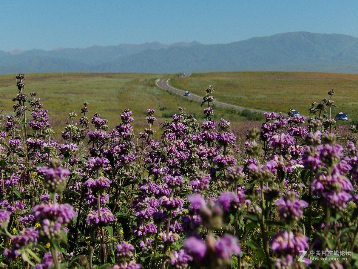 南北疆风光----宾得长焦机（一）