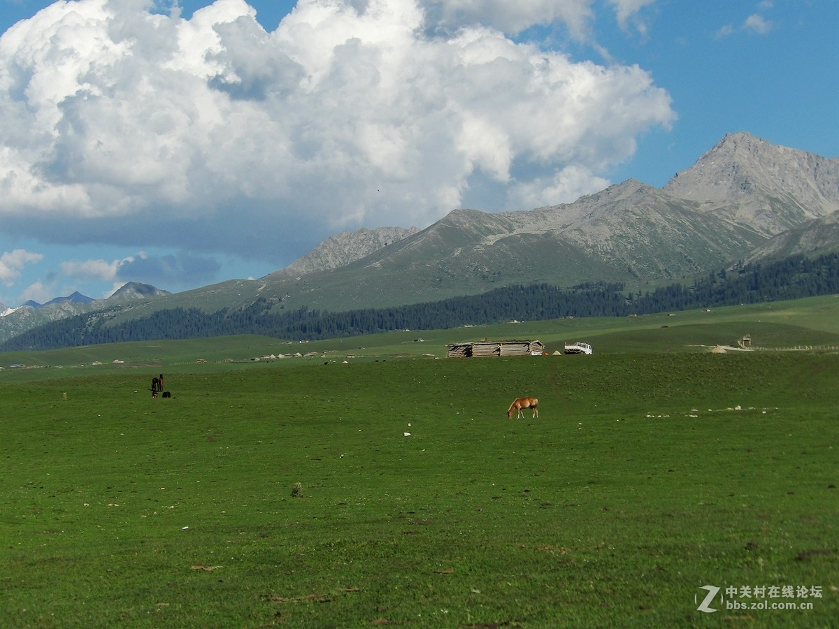 南北疆风光----宾得长焦机（二）