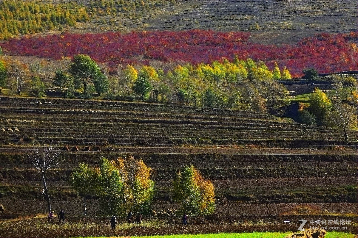 【原创】《锦绣坝上风光美》完全版（新加10片）