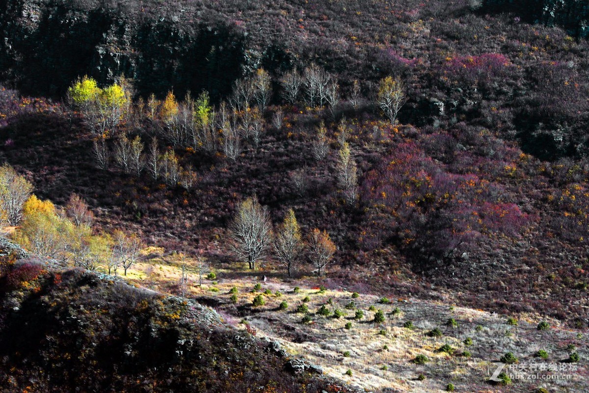 【原创】《锦绣坝上风光美》完全版（新加10片）