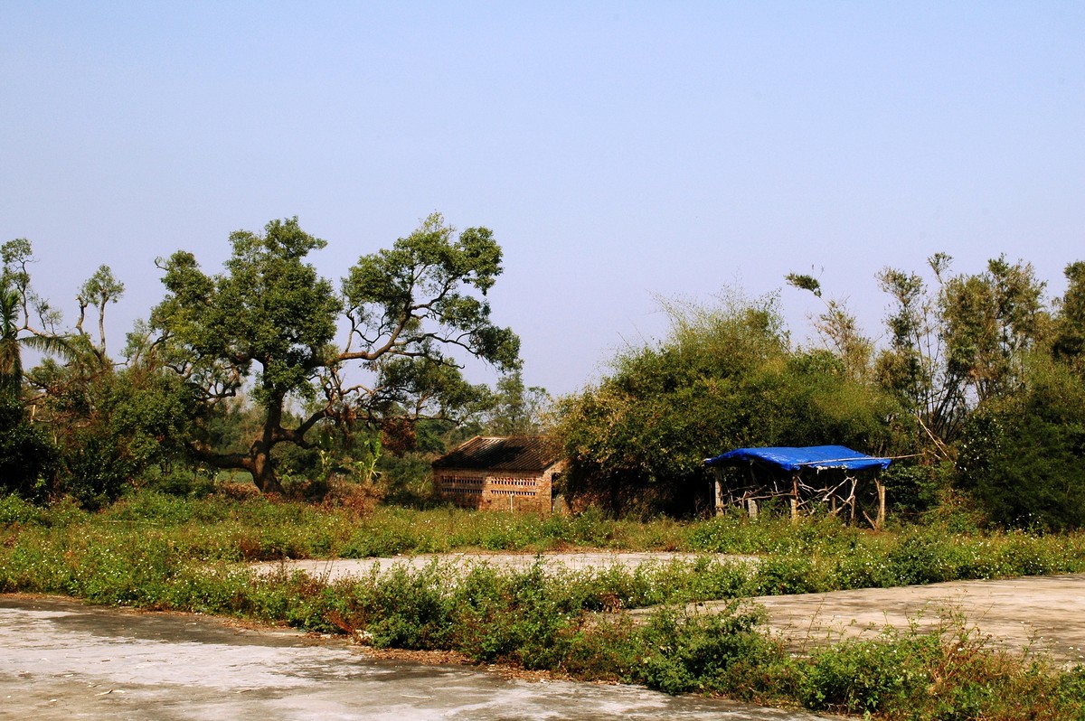 湛江农村随拍完
