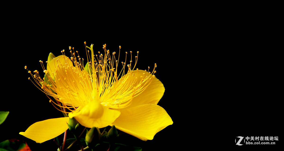 2016年6—7月《红河星空(中国)》优秀作品精选集