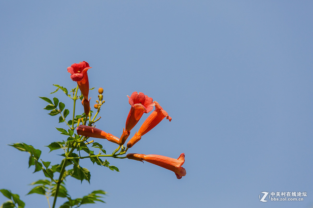 2016年6—7月《红河星空(中国)》优秀作品精选集