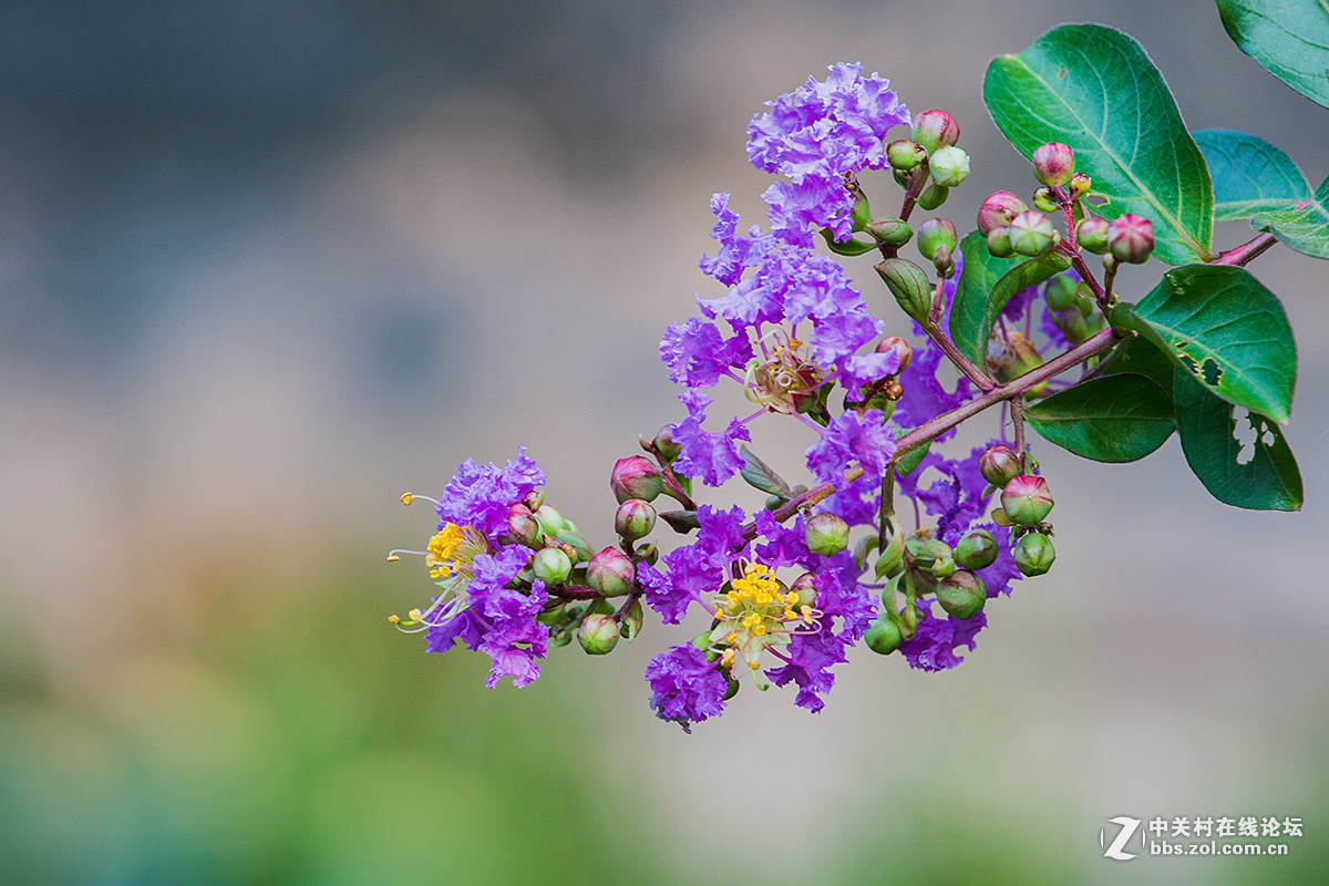 2016年6—7月《红河星空(中国)》优秀作品精选集