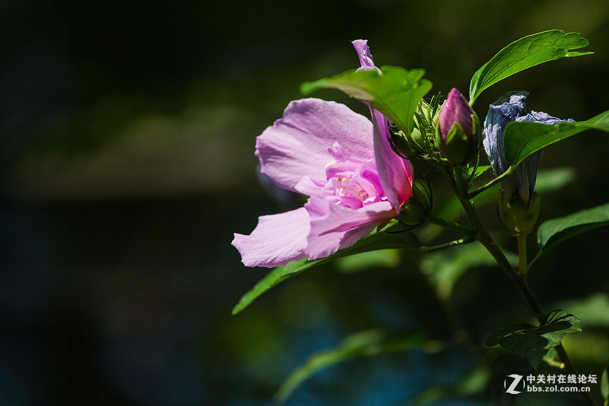 2016年6—7月《红河星空(中国)》优秀作品精选集