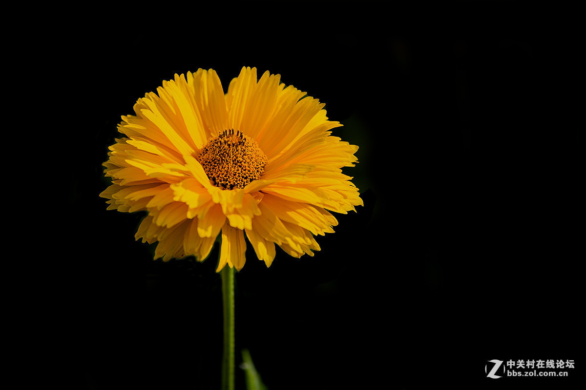 2016年6—7月《红河星空(中国)》优秀作品精选集