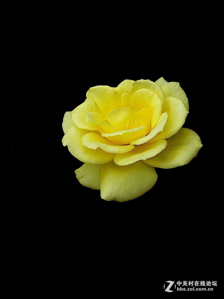 2016年6—7月《红河星空(中国)》优秀作品精选集