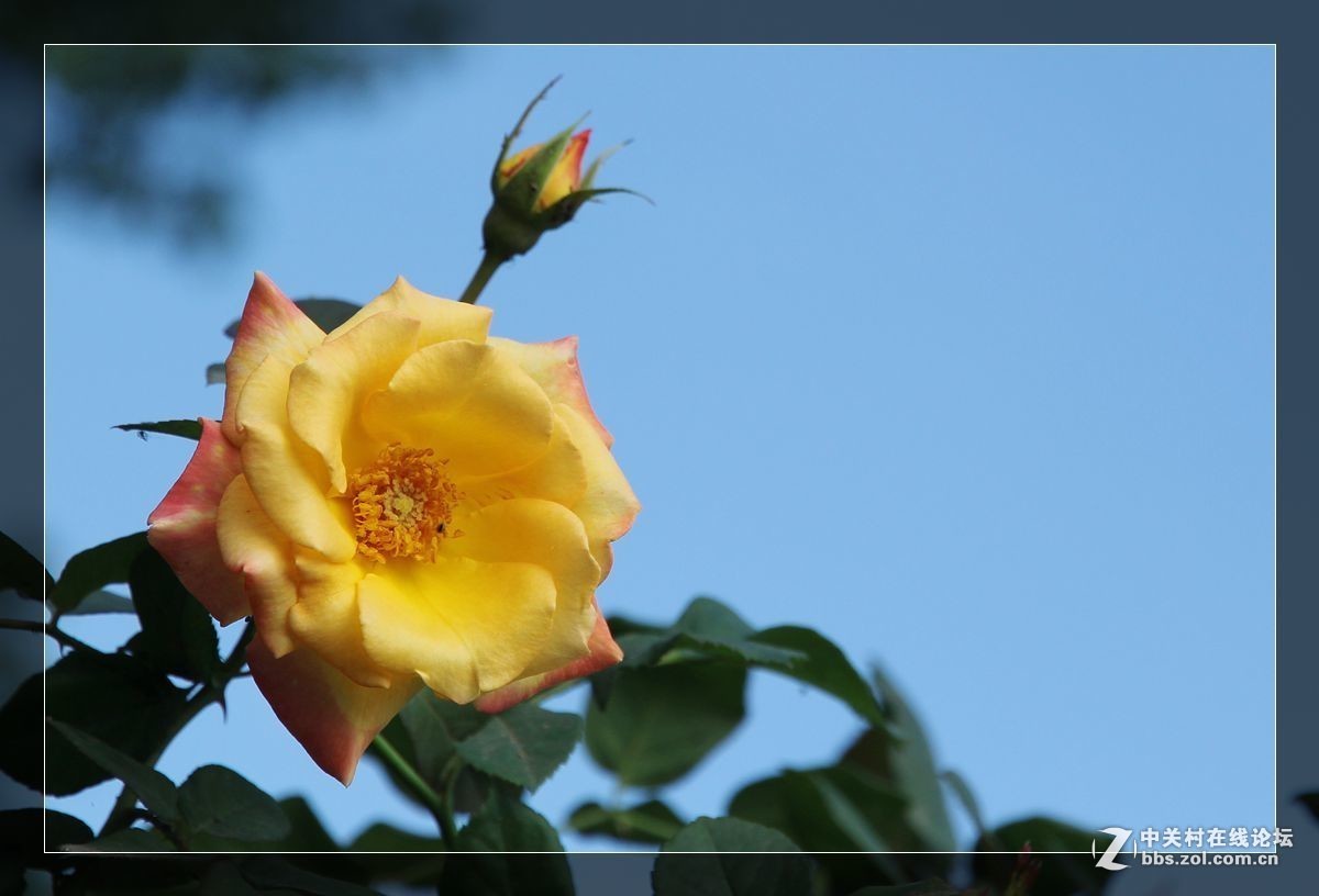 2016年6—7月《红河星空(中国)》优秀作品精选集