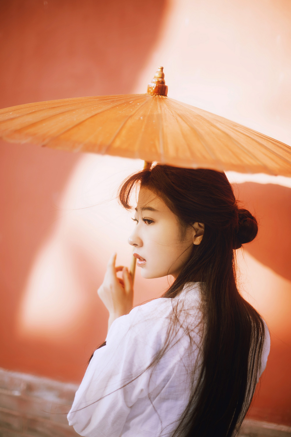 [[[楚狂]]] 空 華