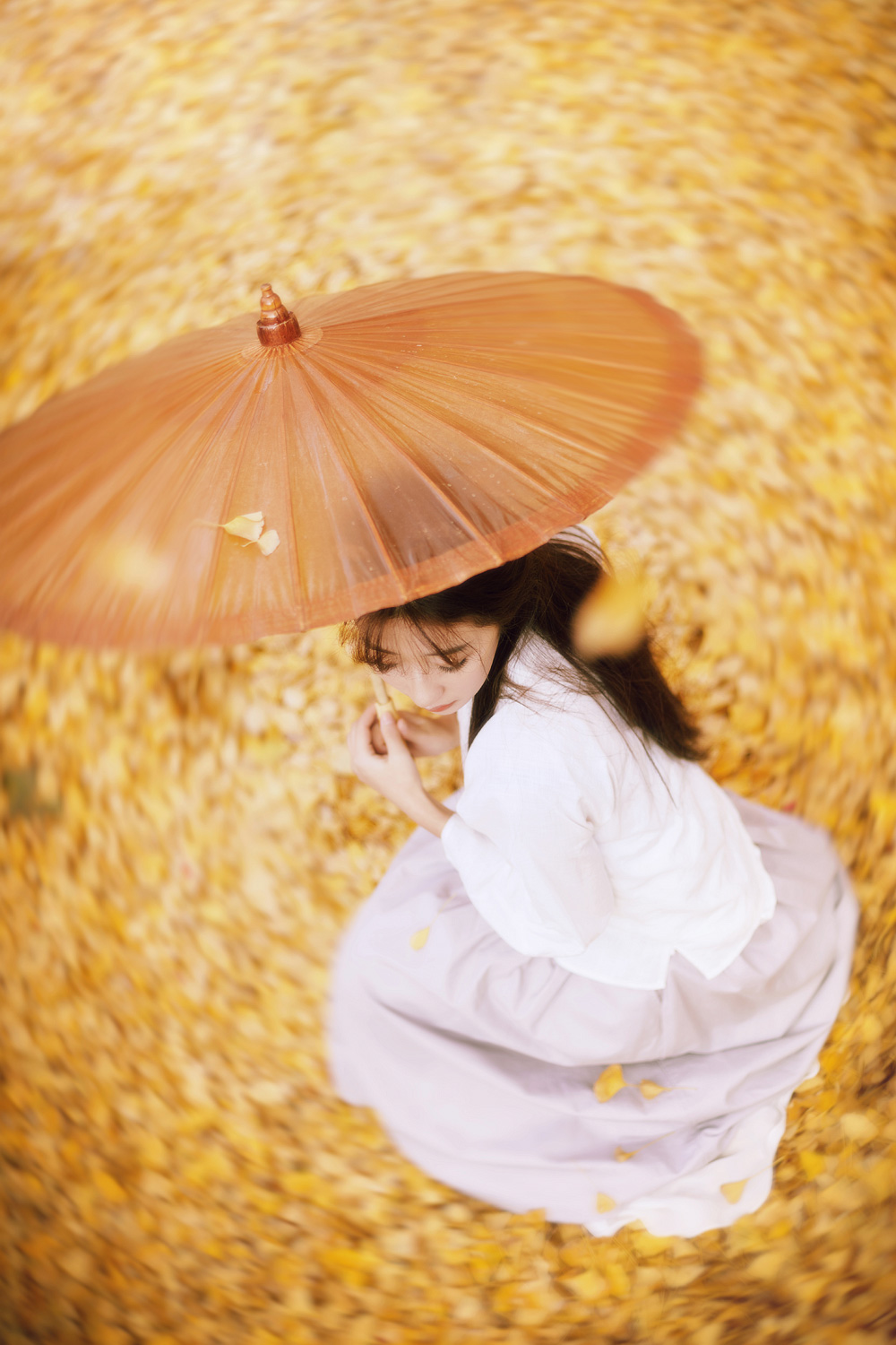 [[[楚狂]]] 空 華