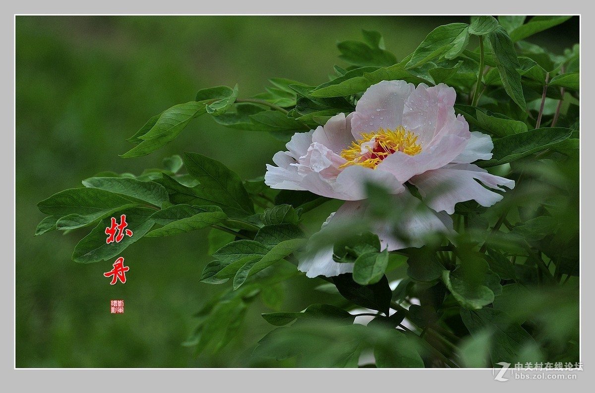 #版主坐堂#索尼 ILCE-7R摄影星空(中国)17-04月份部分单张精华作品推荐