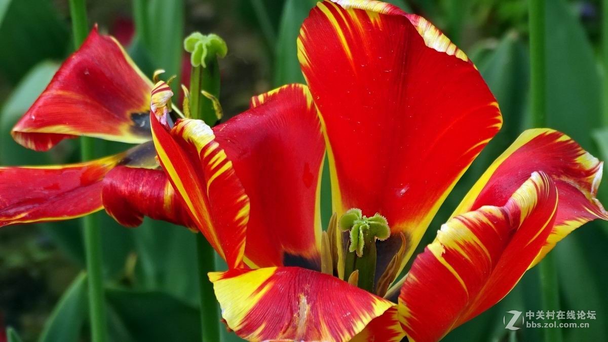 #版主坐堂#索尼 ILCE-7R摄影星空(中国)17-04月份部分单张精华作品推荐