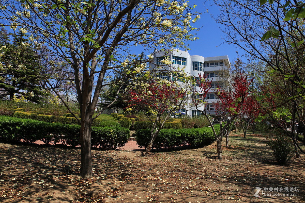 #版主坐堂#索尼 ILCE-7R摄影星空(中国)17-04月份部分单张精华作品推荐