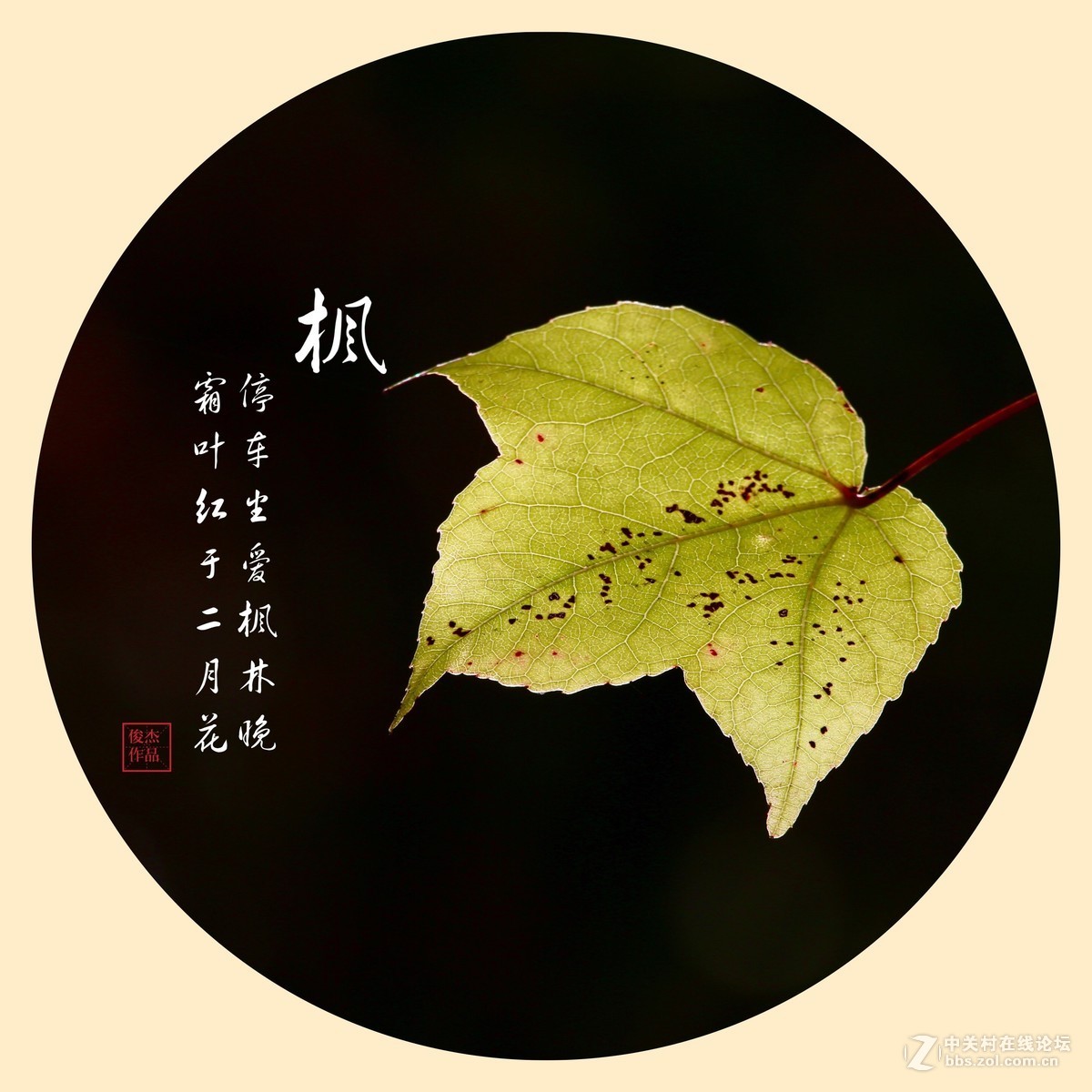 #佳能月赛-一叶知秋#枫叶情#