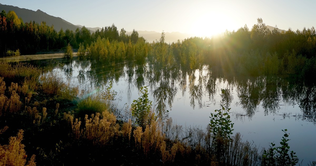 拉萨河畔（西藏行二）