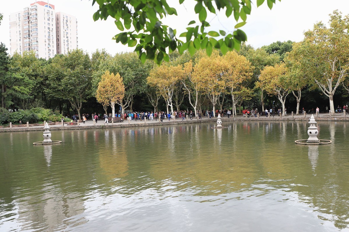 缘     杨浦公园(三潭印月)