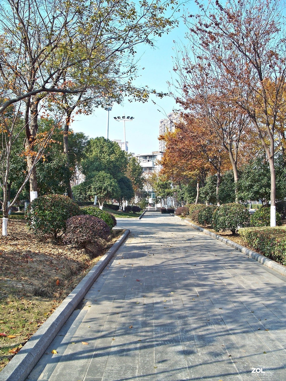 偶感柯达色彩兼随拍几张