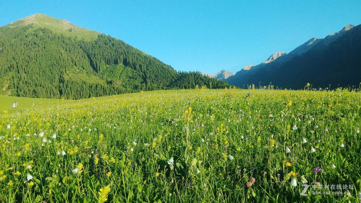 南北疆风光----宾得长焦机（二）