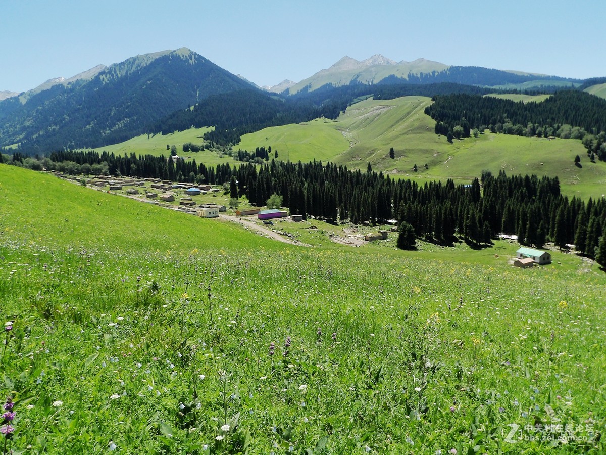 南北疆风光----宾得长焦机（二）