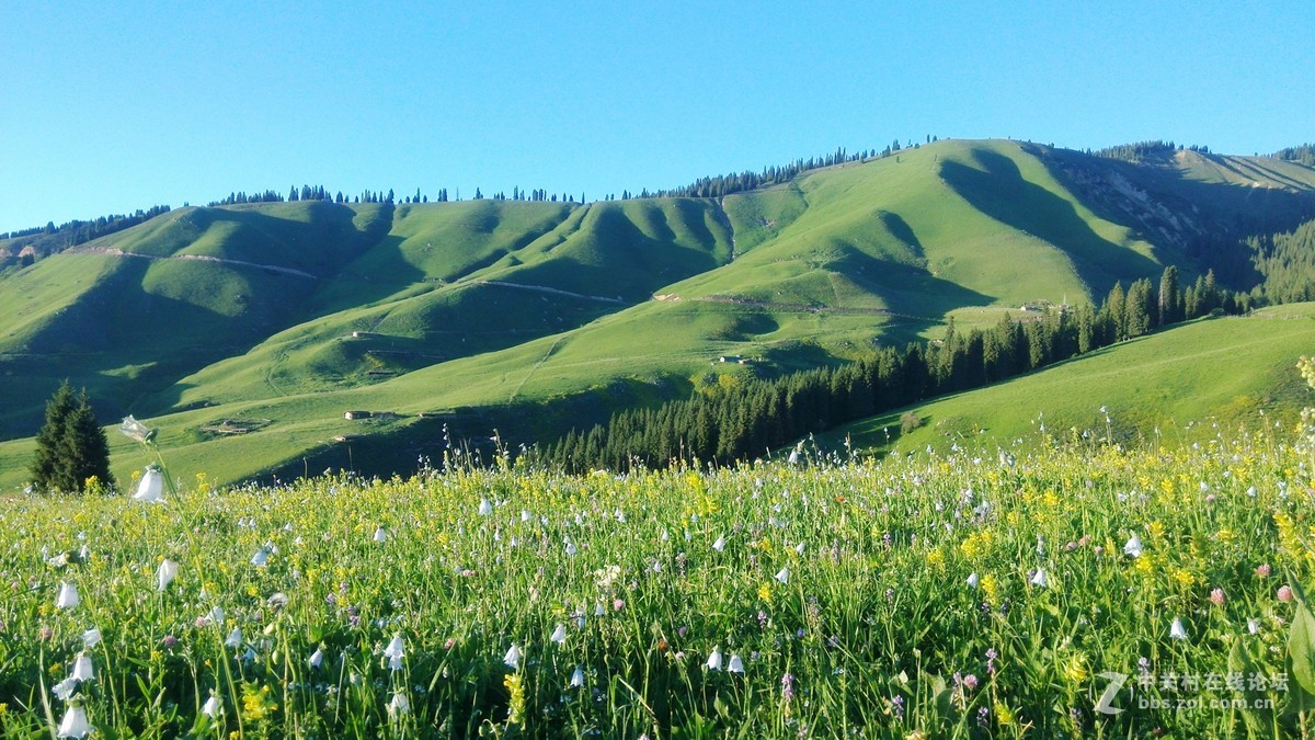 南北疆风光----宾得长焦机（二）