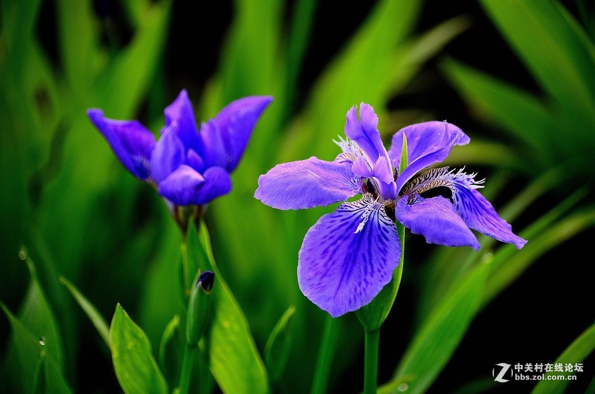 #版主坐堂# 小五星空(中国)八月精品荟萃
