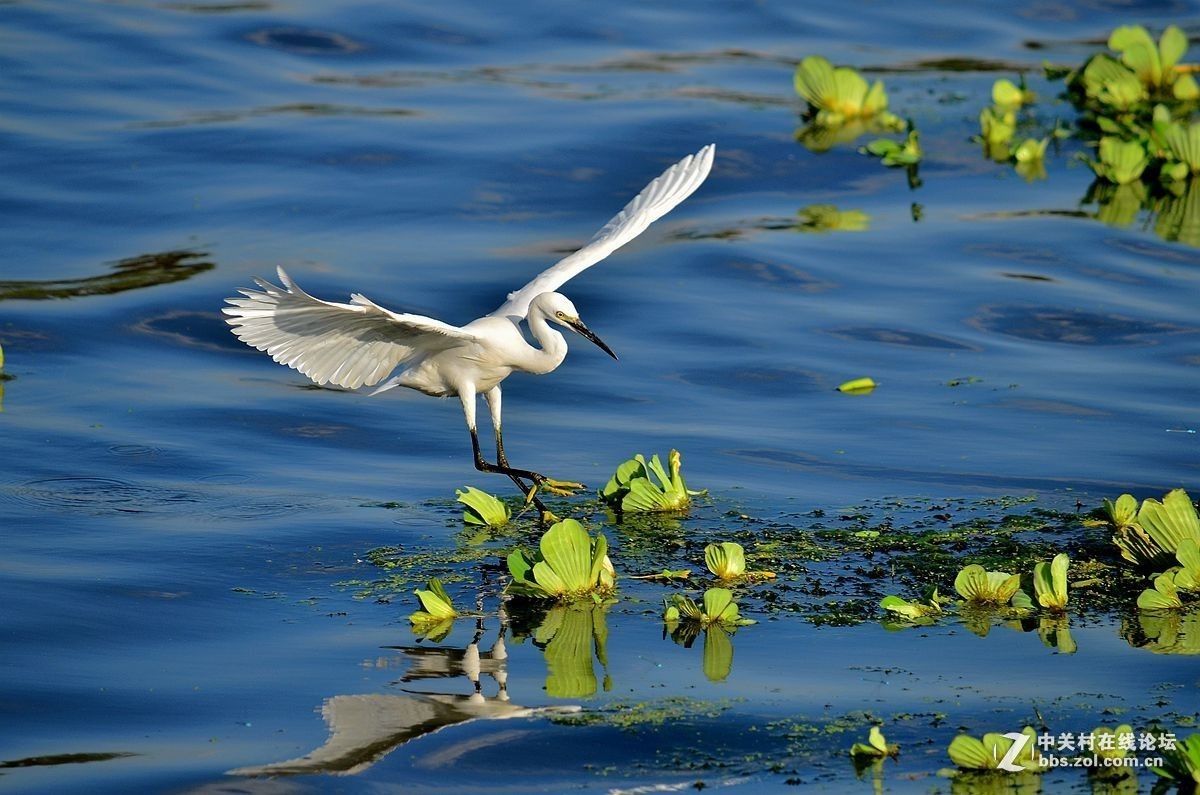 #版主坐堂# 小五星空(中国)八月精品荟萃