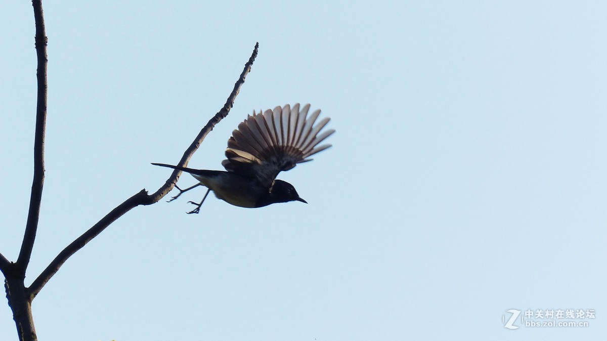 #版主坐堂# 小五星空(中国)八月精品荟萃