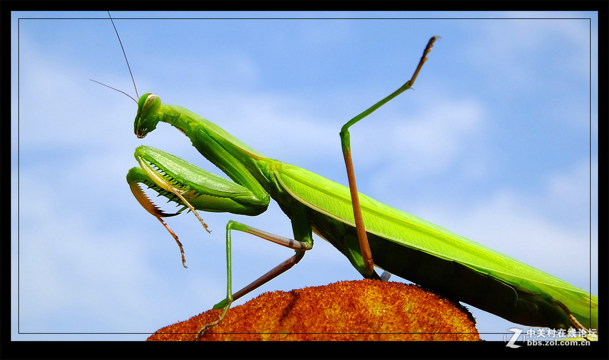#版主坐堂# 小五星空(中国)八月精品荟萃