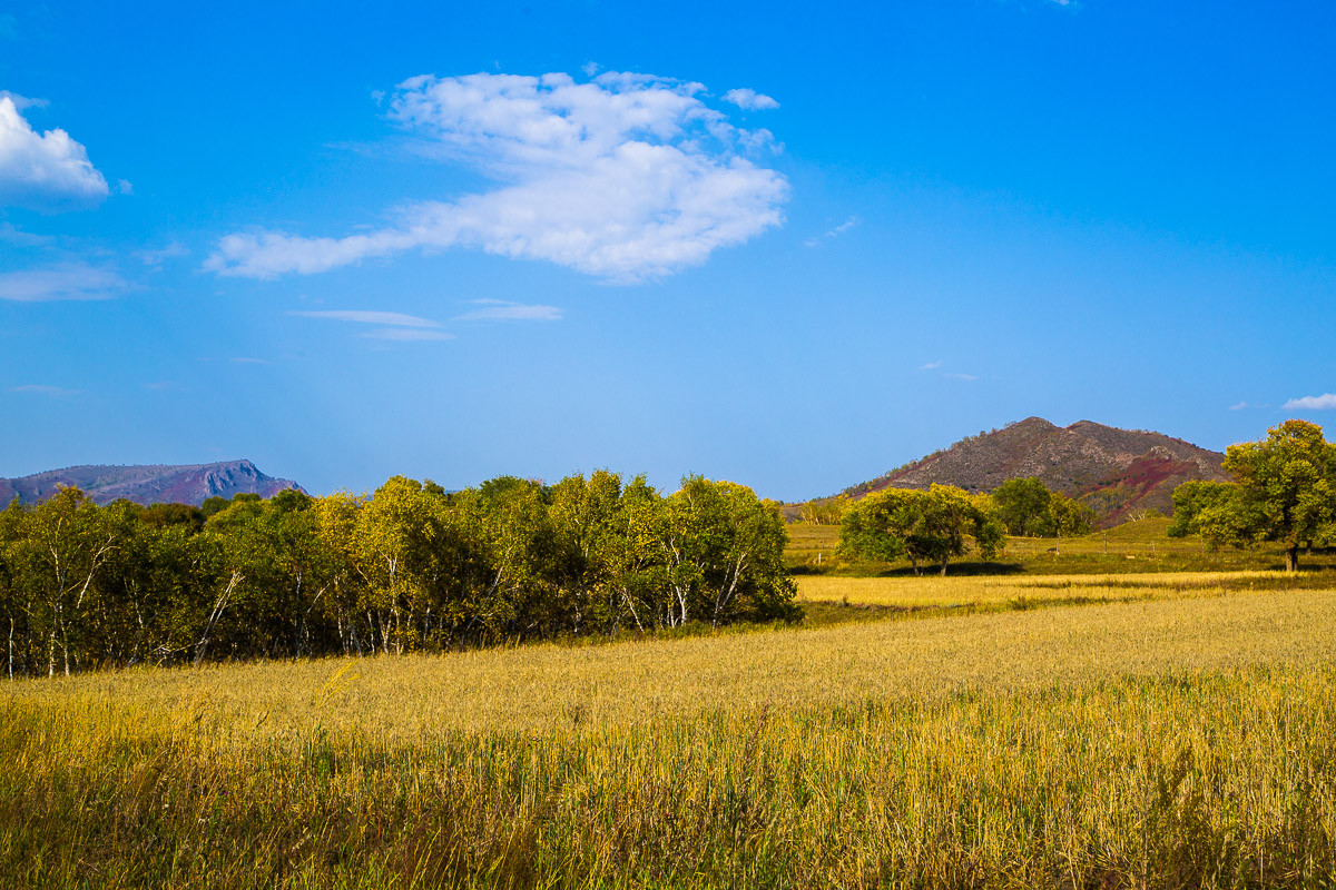 2015-11-19坝上行—蛤蟆坝秋景