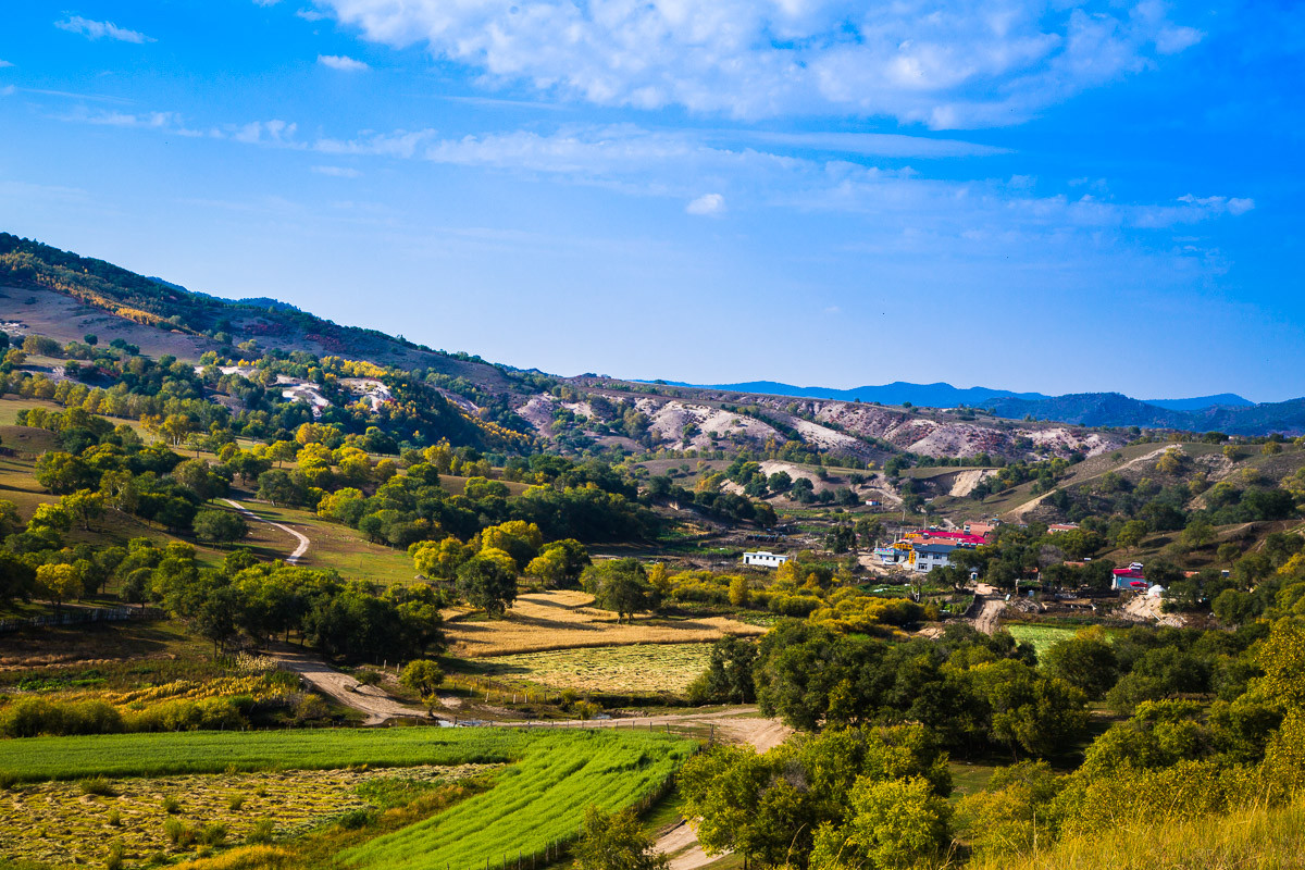 2015-11-19坝上行—蛤蟆坝秋景