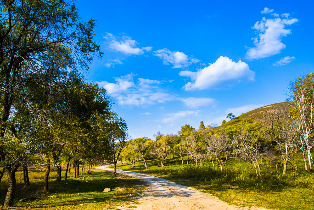 2015-11-19坝上行—蛤蟆坝秋景