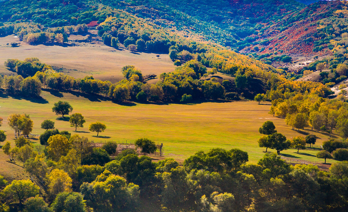 2015-11-19坝上行—蛤蟆坝秋景