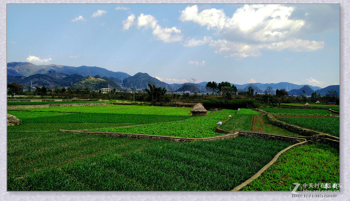 一组田园风光（手机版）