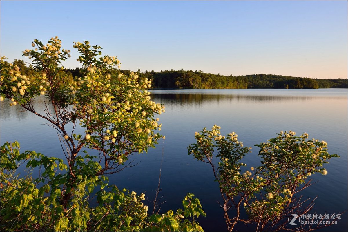 休闲随拍（337）