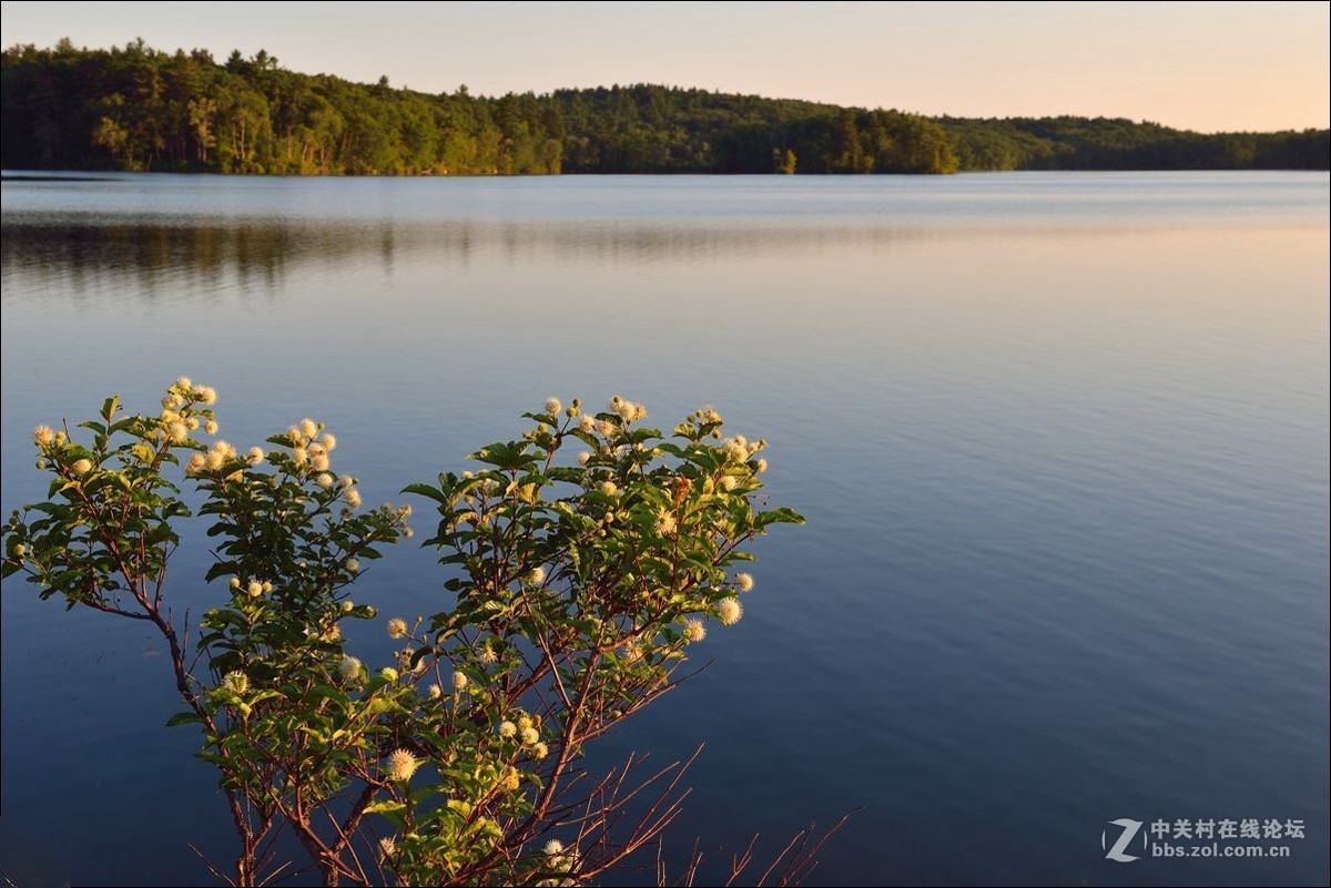休闲随拍（337）