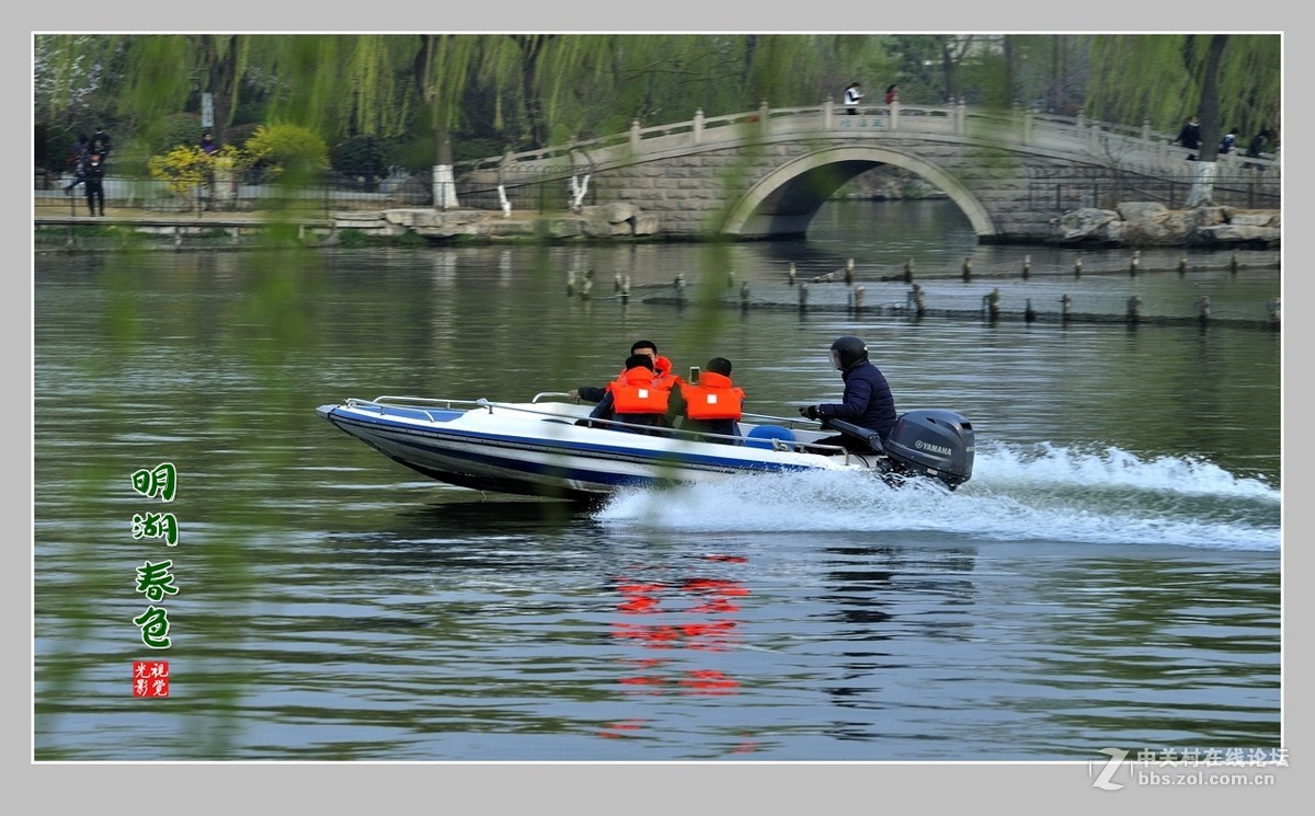 #ZOL月赛-三月风光无限好#“玉兰花开春意浓，明湖两岸舞春风”