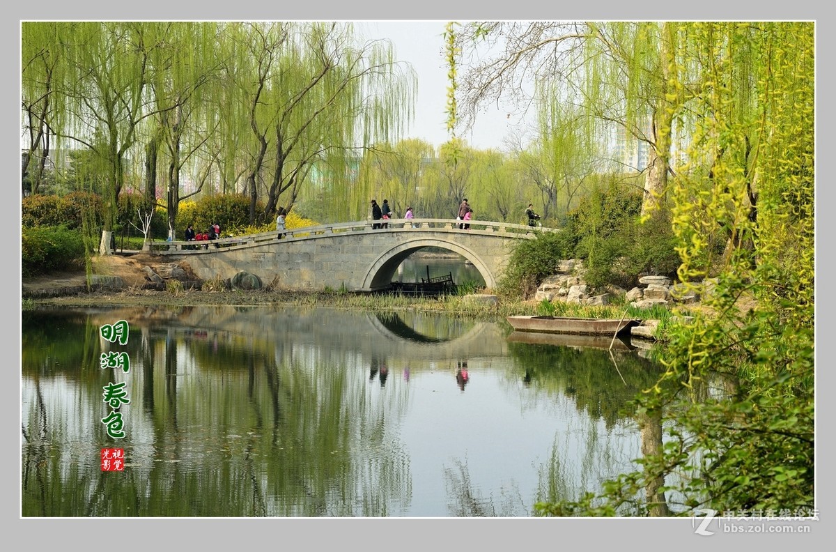 #ZOL月赛-三月风光无限好#“玉兰花开春意浓，明湖两岸舞春风”