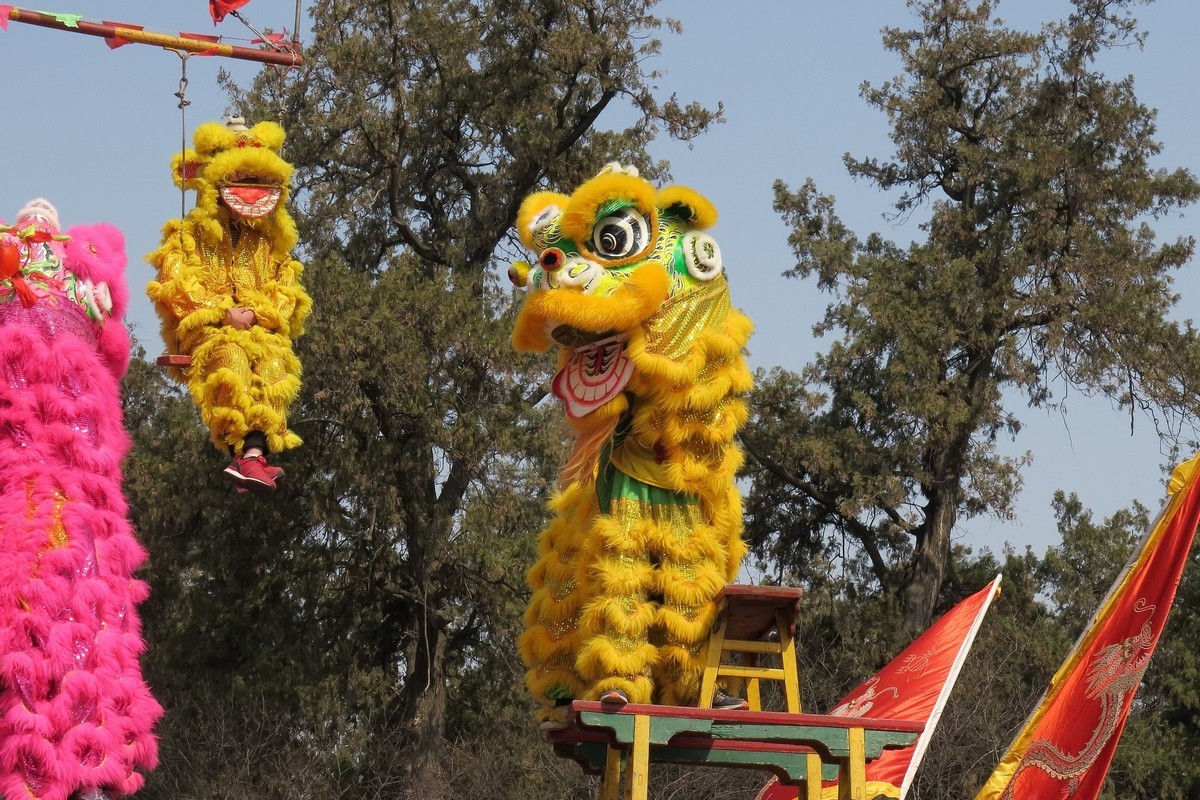 庙会舞狮8