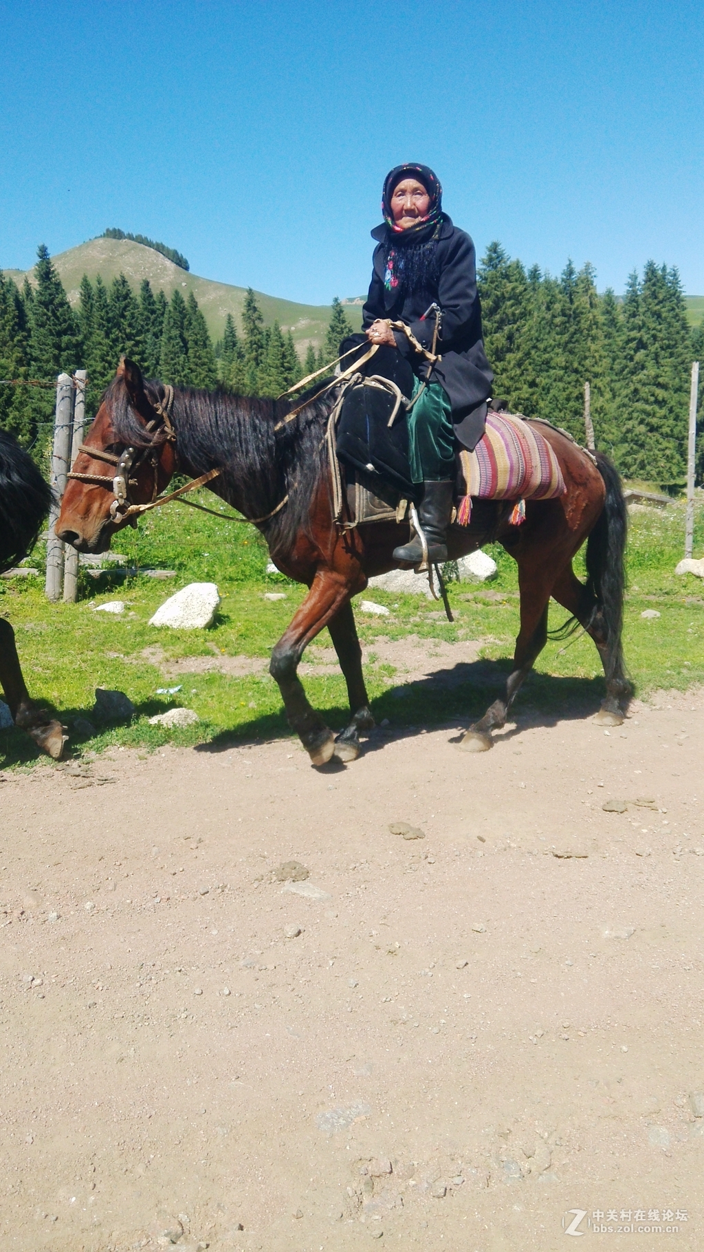 南北疆风光----宾得长焦机（二）
