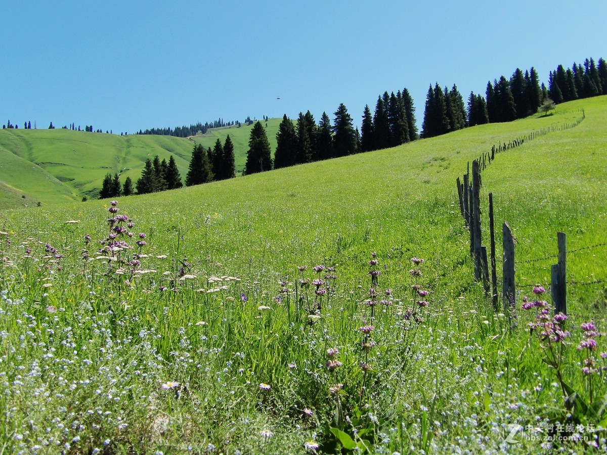 南北疆风光----宾得长焦机（二）