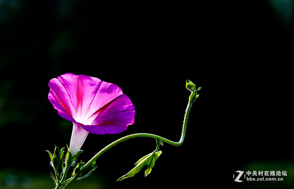 #版主坐堂# 小五星空(中国)八月精品荟萃