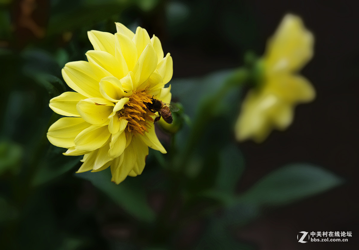 #版主坐堂# 小五星空(中国)八月精品荟萃