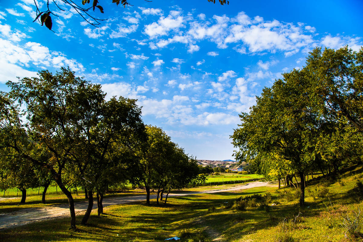 2015-11-19坝上行—蛤蟆坝秋景