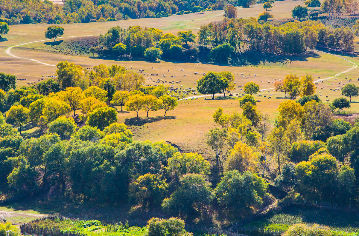 2015-11-19坝上行—蛤蟆坝秋景