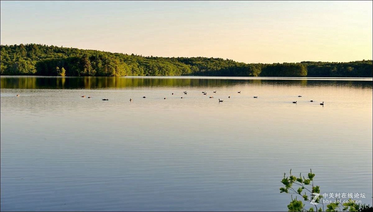 休闲随拍（337）